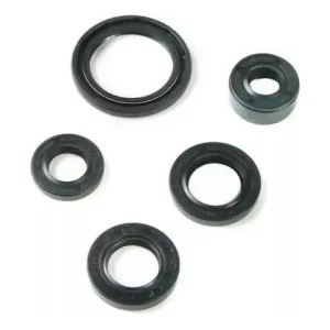 Kit de retenes p/ Honda Storm , Zanella RX150